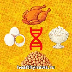 Сколько белка нужно в день на самом деле